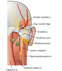 img 2260 - outubro 2025